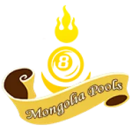 legodingin.com